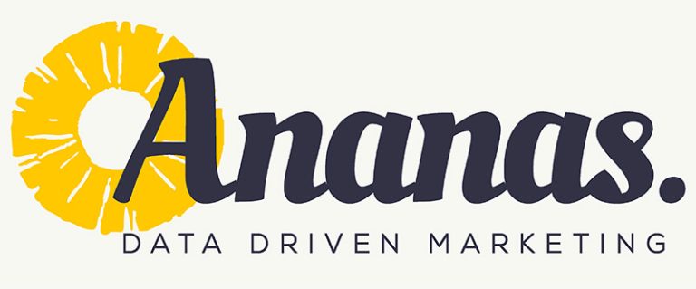 Ananas - brand book