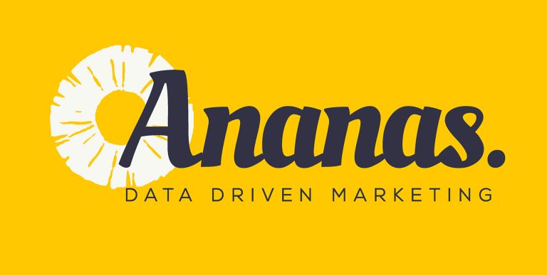 Ananas - brand book